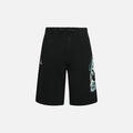 Evisu Men's & Women's Casual shorts